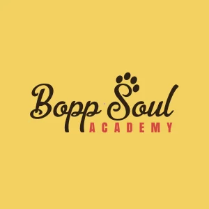 Bopp Soul Academy