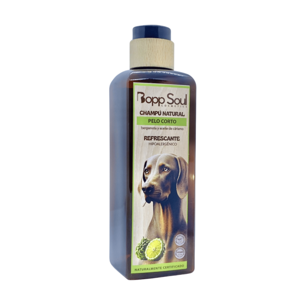 Champú Pelo Corto Refrescante