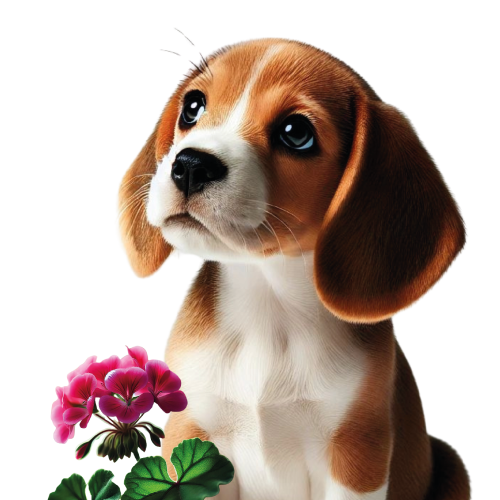 perfume-perro