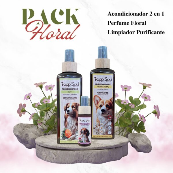Pack Floral